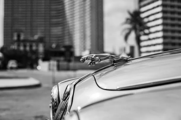 Kasino Extra Android/iOS aplikace